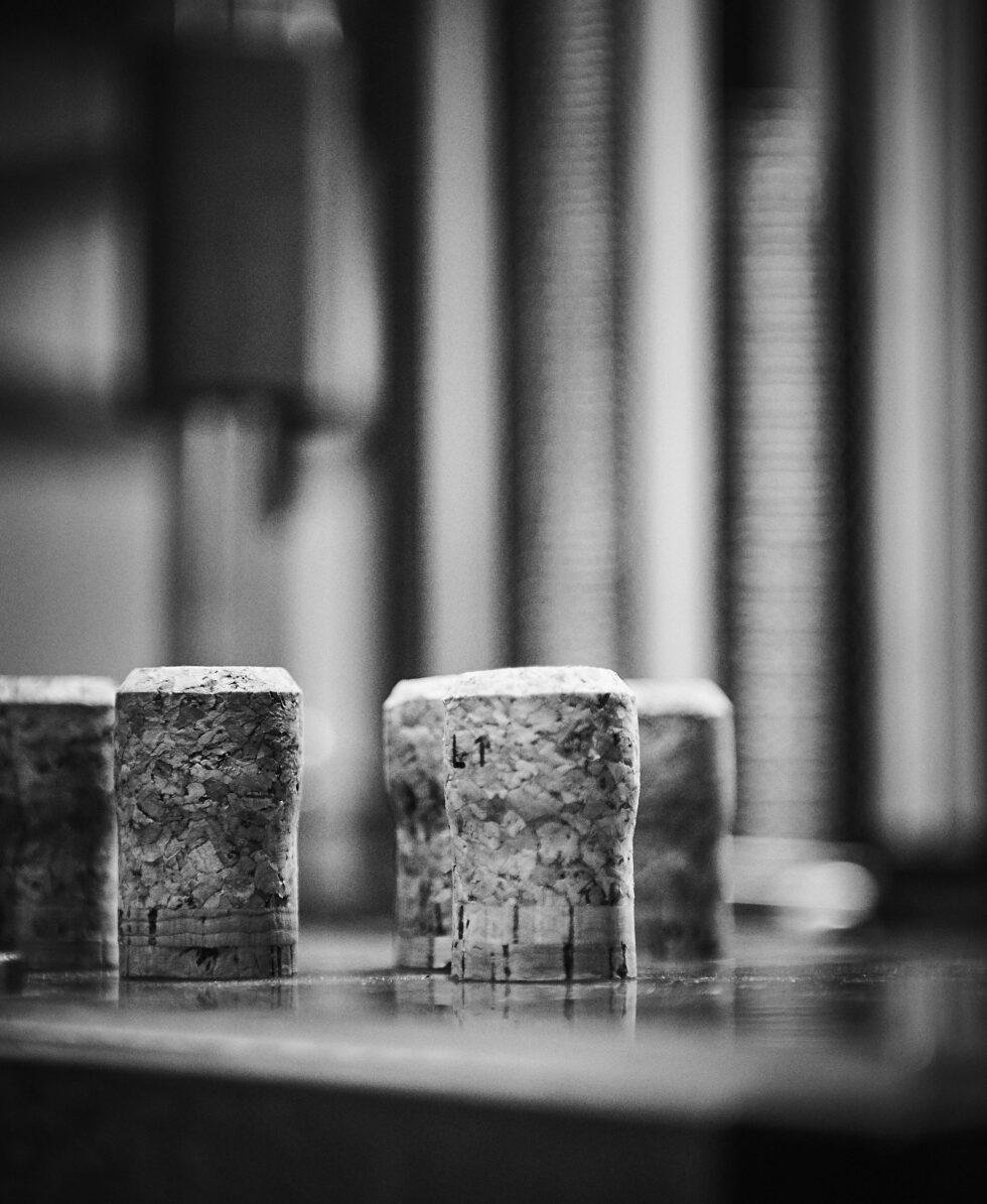 Champagne bottles in a cool, dark cellar, photographed in black and white